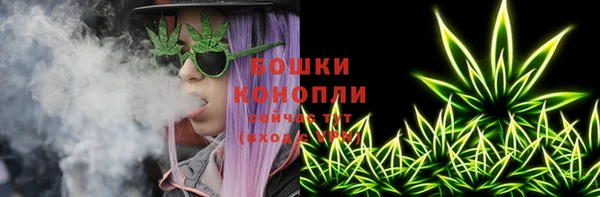 тгк Вяземский