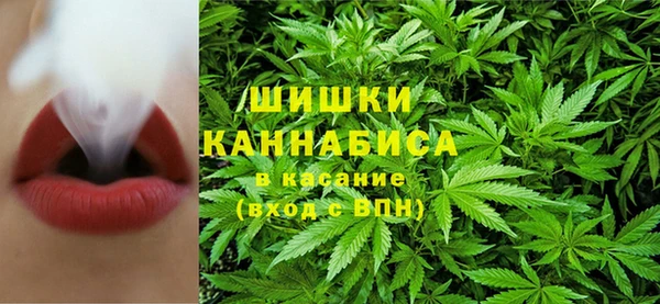 трава Вязьма