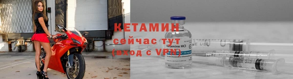 крисы Вязники