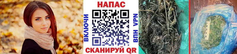 Конопля планчик  Семёнов 